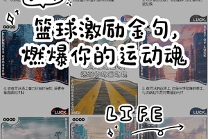 哪里可以找到激励人心的篮球训练故事:探索灵感与成长的宝藏